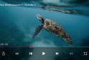 Video Player by Halos (No Ads & Donation) screenshot 9