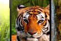 3D тварини паралакс Живі шпалери screenshot 1 3D тварини паралакс Живі шпалери screenshot 1