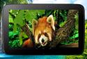 3D тварини паралакс Живі шпалери screenshot 10 3D тварини паралакс Живі шпалери screenshot 10