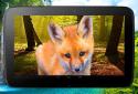 3D тварини паралакс Живі шпалери screenshot 9 3D тварини паралакс Живі шпалери screenshot 9