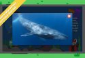 Дитяча енциклопедія — Woncy screenshot 5