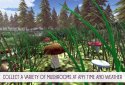 Реальний Грибник - Тихе полювання screenshot 1