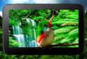 3D птиці паралакс Живі шпалери screenshot 10 3D птиці паралакс Живі шпалери screenshot 10