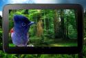 3D птиці паралакс Живі шпалери screenshot 11 3D птиці паралакс Живі шпалери screenshot 11