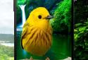3D птиці паралакс Живі шпалери screenshot 4 3D птиці паралакс Живі шпалери screenshot 4