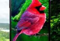 3D птиці паралакс Живі шпалери screenshot 7 3D птиці паралакс Живі шпалери screenshot 7