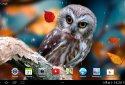 Autumn Live Wallpaper screenshot 12