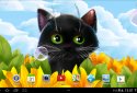 Cute Kitten Live Wallpaper screenshot 7
