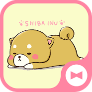 Dog Wallpaper Cute Mini-Shiba Theme Dog Wallpaper Cute Mini-Shiba Theme