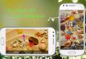 Koi Pond Pro Live Wallpaper screenshot 3