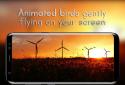 Windmill Live Wallpaper screenshot 10 Windmill Live Wallpaper screenshot 10