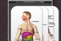 Анатомія Game Anatomicus Pro screenshot 3