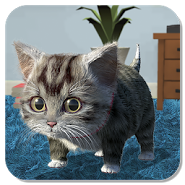 Cat Simulator - and friends ?