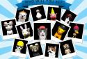 Cat Simulator - and friends ? screenshot 7