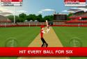 Stick Cricket - HD screenshot 1