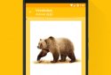 Вивчайте Корейську 6000 Слів screenshot 2
