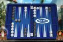 Hardwood Backgammon screenshot 5