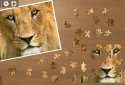 Ravensburger screenshot 3