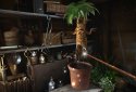 Fantastic Beasts VR Experience screenshot 2