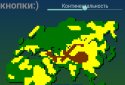 Расовый калькулятор лисёнка screenshot 1