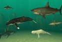 Fish Farm 3 - 3D Aquarium Simulator screenshot 7