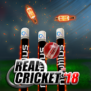 Real Cricket™ 18