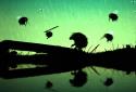 Feist screenshot 5