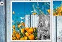 IMAGEine Premium screenshot 4