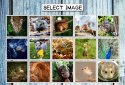 IMAGEine Premium screenshot 6