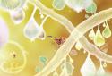 Botanicula screenshot 4