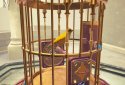 The Birdcage screenshot 4