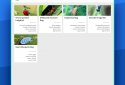 Insect Identifier screenshot 8
