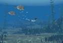 Storm Boy screenshot 6