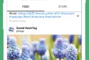 in Grabber: story saver for Instagram screenshot 4