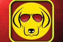 Dog whistle - Whistle for dogs screenshot 1