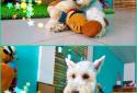 Find Differences: Assorti. Spot all Objects screenshot 5