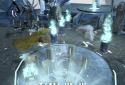 Game of Gods screenshot 5