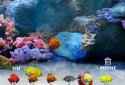 Water Paradise screenshot 1