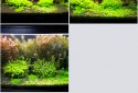 Aquarium Assistant screenshot 8