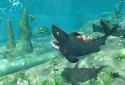 Whale Shark Attack Simulator screenshot 8