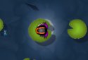 Pocket Frogs screenshot 2