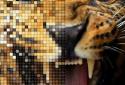 Cross Stitch screenshot 7