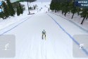 Alpine Arena screenshot 3
