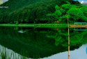 My Fishing World - Realistic fishing screenshot 7