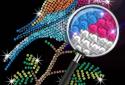 Diamond Coloring - Sequins Art & Paint by Numbers screenshot 1
