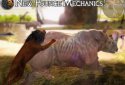 Ultimate Lion Simulator 2 screenshot 7