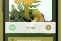 Pilzlexikon 2 PRO screenshot 8