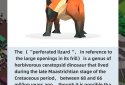 Idle Zoo Tycoon screenshot 5