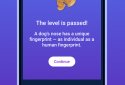 Funny Bunny - Quiz for kids screenshot 4
