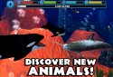 Orca Simulator screenshot 10